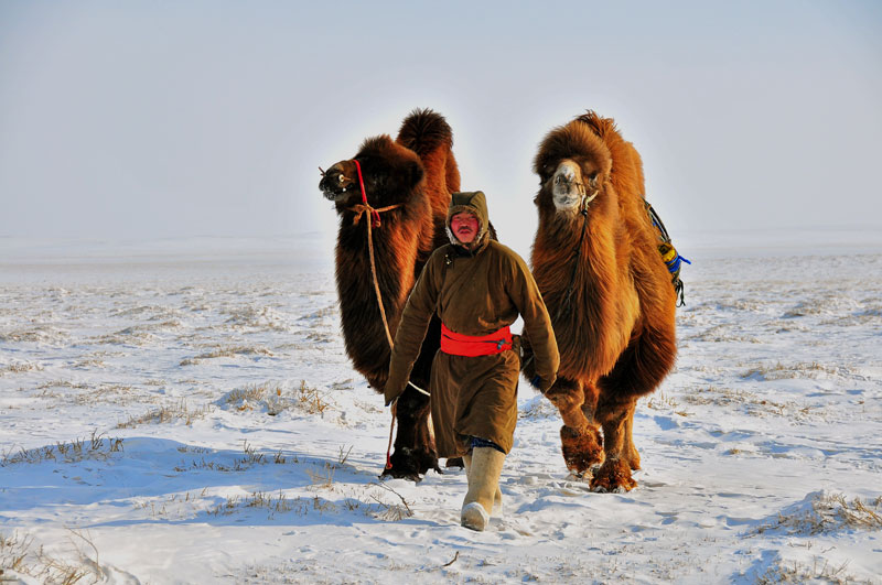 Mongolie